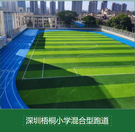 新闻资讯